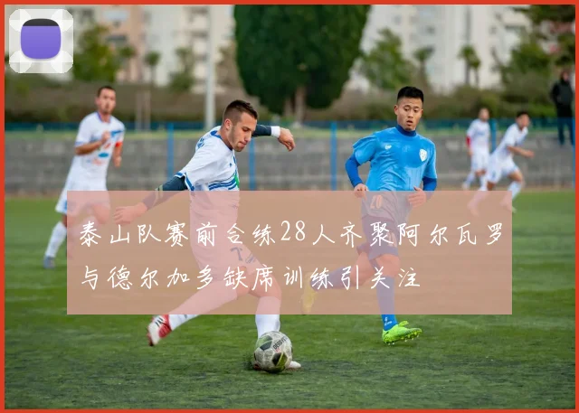泰山队赛前合练28人齐聚阿尔瓦罗与德尔加多缺席训练引关注