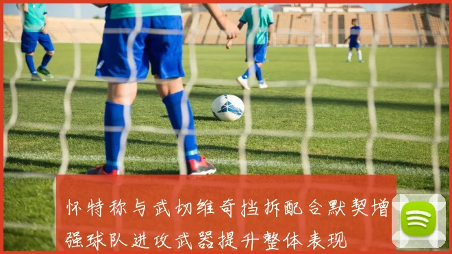 怀特称与武切维奇挡拆配合默契增强球队进攻武器提升整体表现